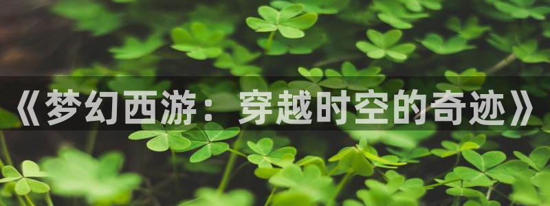 《梦幻西游：穿越时空的奇迹》
