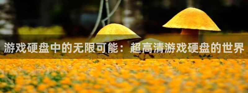 欧陆娱乐夜主管的联系方式