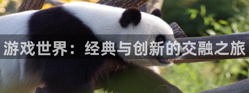 欧陆娱乐app官网下载地址在哪：游戏世界：经典与创新的交融之