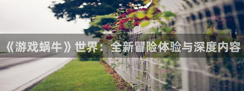 欧陆娱乐平台登录地址是什么：《游戏蜗牛》世界：全新冒险体验与