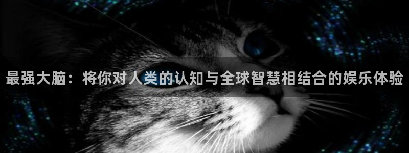 欧陆娱乐分分彩：最强大脑：将你对人类的认知与全球智慧相结合的