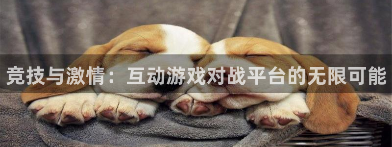 欧陆娱乐黑了还能登录吗微信：竞技与激情：互动游戏对战平台的无